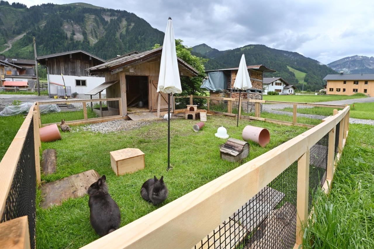 Ferienbauernhof Moosbrugger Apartment Schoppernau Luaran gambar
