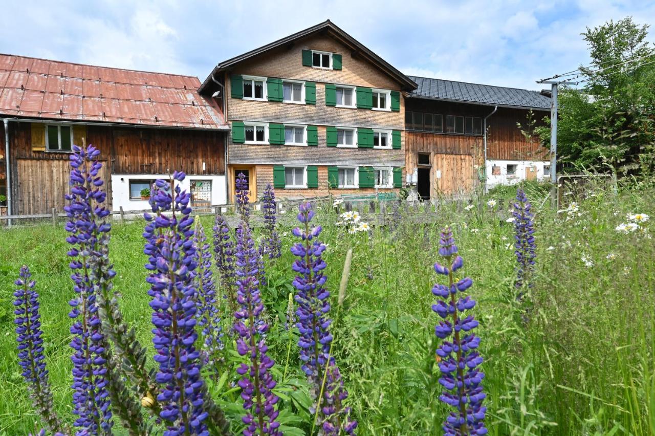 Ferienbauernhof Moosbrugger Apartment Schoppernau Luaran gambar