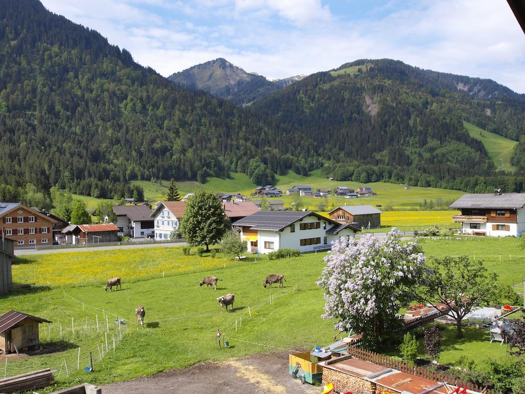 Ferienbauernhof Moosbrugger Apartment Schoppernau Bilik gambar